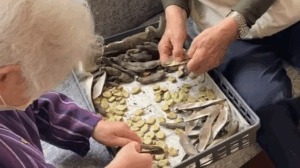 そら豆をむいている様子