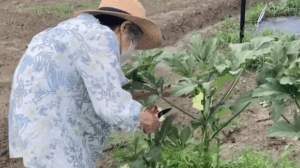 畑の見回り♪