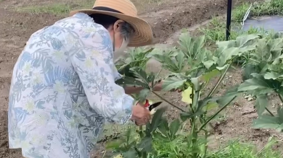 畑の見回り♪