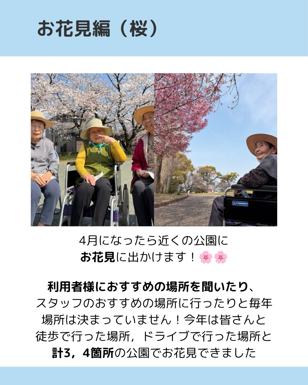 4月になったら近くの公園にお花見に出かけます