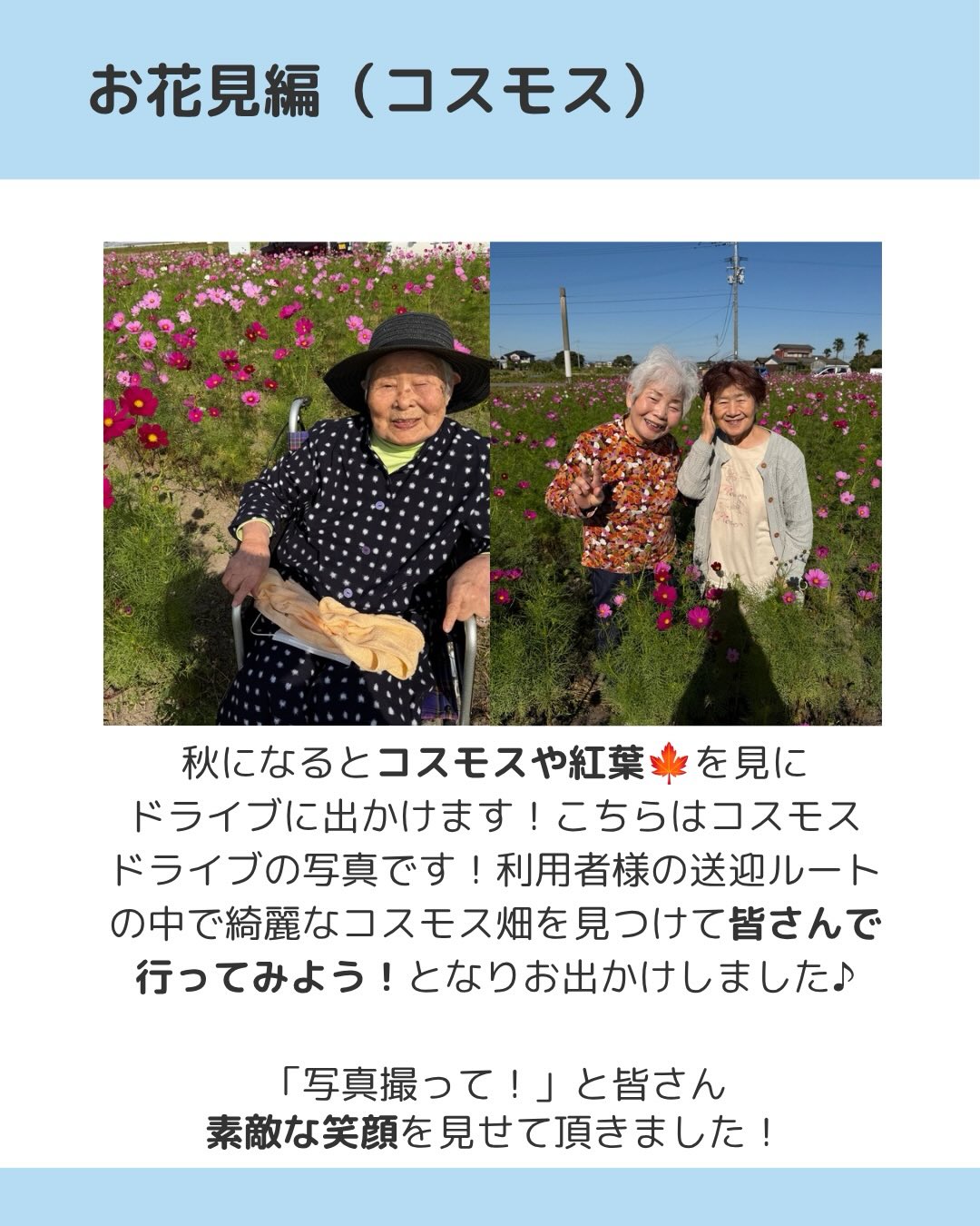 秋になるとコスモスや紅葉を見にドライブに出かけます