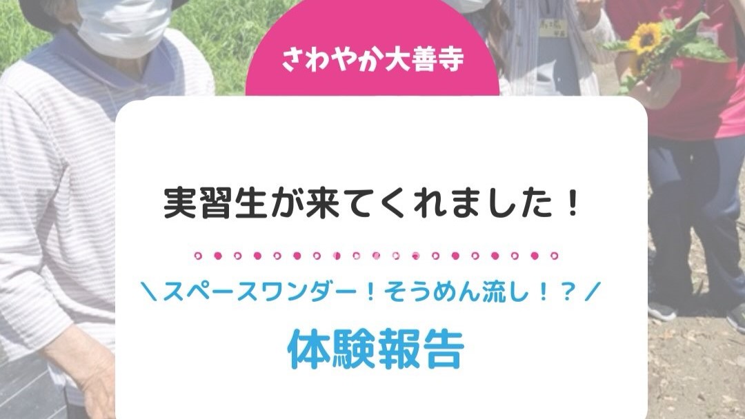 実習生がきてくれました!体験報告