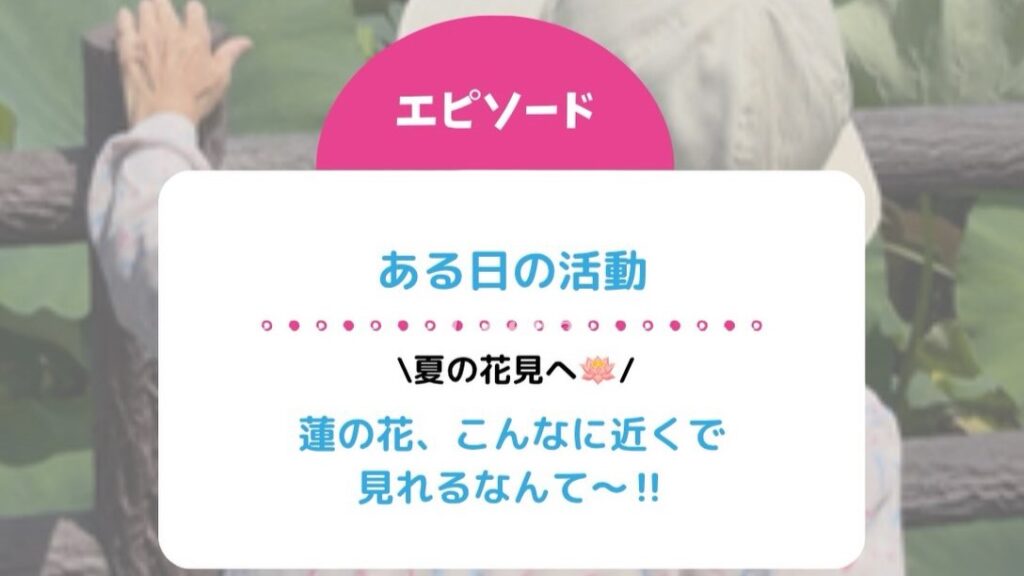 夏の花見へ!連の花、こんなに近くで見れるなんて~!!