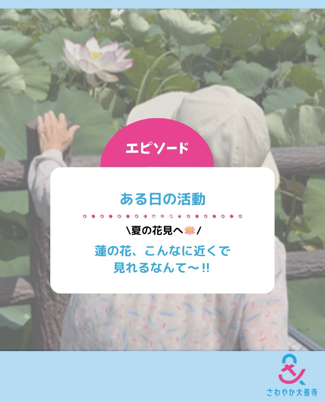 ある日の活動。連の花、こんなに近くで見れるなんて～！！