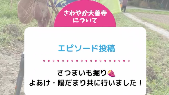 さつまいも掘り！よあけ・陽だまり共に行いました！